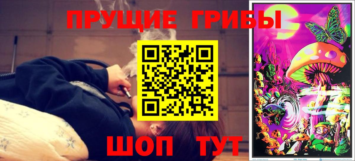 Галлюциногенные грибы прущие грибы Новочебоксарск