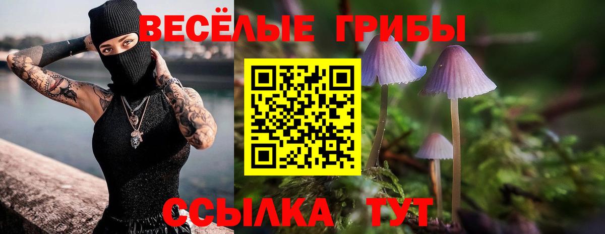 Псилоцибиновые грибы Magic Shrooms  Вход с VPN  Новочебоксарск 